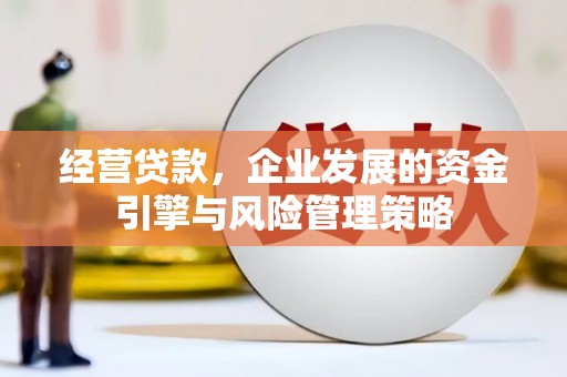 甘孜经营贷款，企业发展的资金引擎与风险管理策略