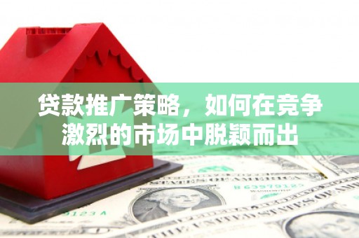 岱岳贷款推广策略，如何在竞争激烈的市场中脱颖而出