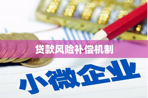 勉县贷款风险补偿机制