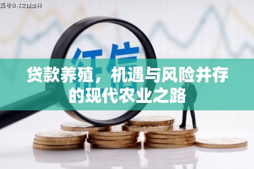 曹妃甸贷款养殖，机遇与风险并存的现代农业之路