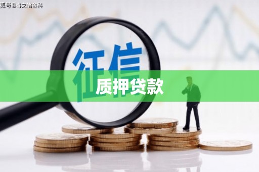 万里质押贷款