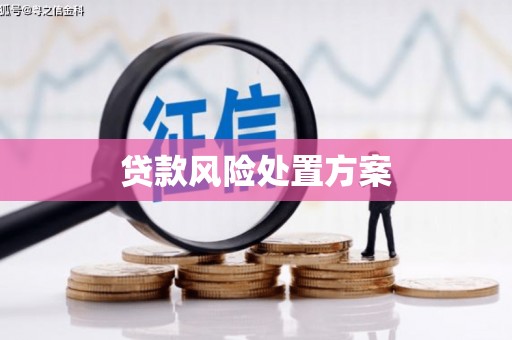 滦平贷款风险处置方案