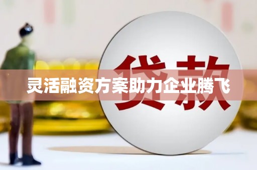 代县灵活融资方案助力企业腾飞