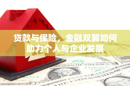 凉山贷款与保险，金融双翼如何助力个人与企业发展