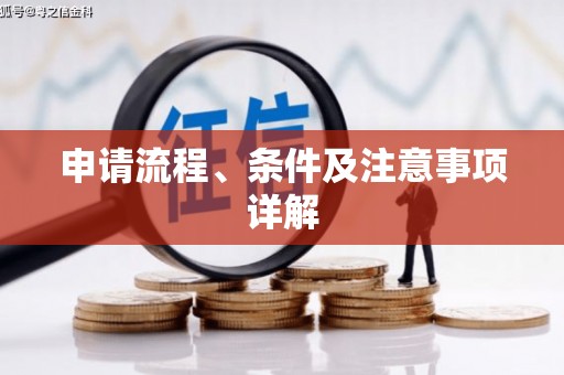 宝山申请流程、条件及注意事项详解