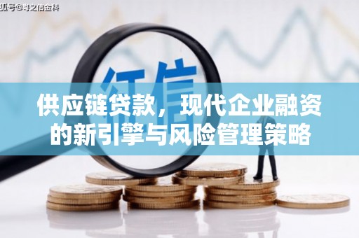 青羊供应链贷款，现代企业融资的新引擎与风险管理策略
