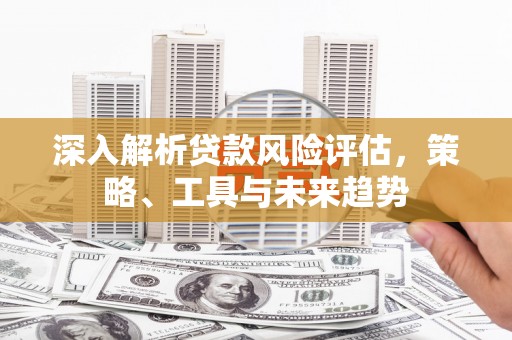 海东深入解析贷款风险评估，策略、工具与未来趋势