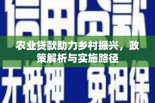 杂多农业贷款助力乡村振兴，政策解析与实施路径