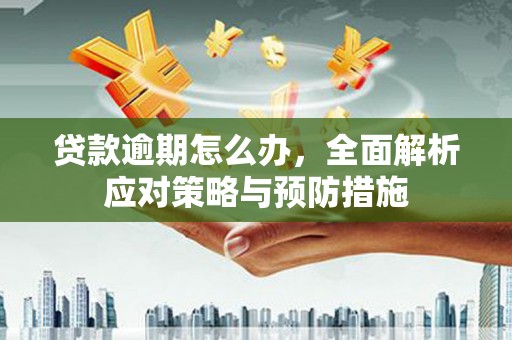 北市贷款逾期怎么办，全面解析应对策略与预防措施