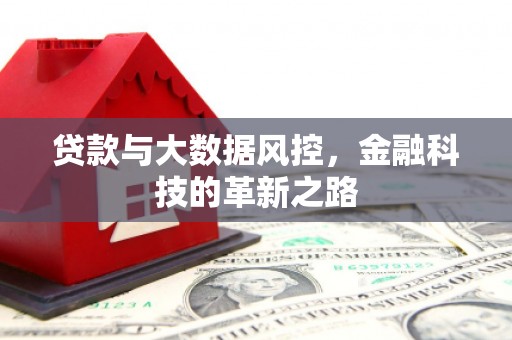 雷州贷款与大数据风控，金融科技的革新之路