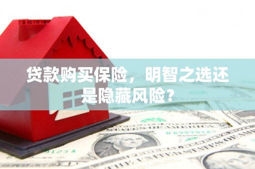 泸溪贷款购买保险，明智之选还是隐藏风险？
