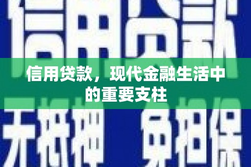 龙游信用贷款，现代金融生活中的重要支柱