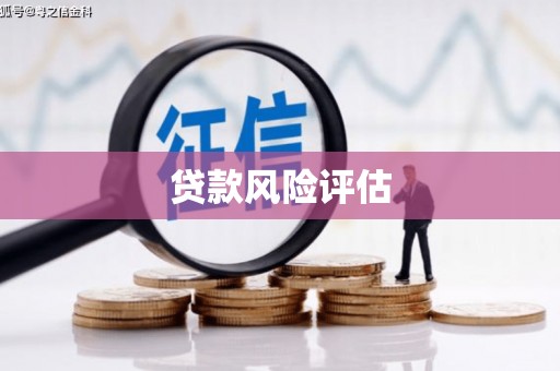 黄山贷款风险评估