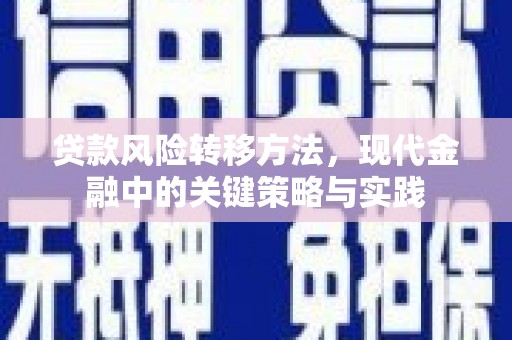 金湾贷款风险转移方法，现代金融中的关键策略与实践