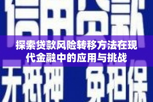 囊谦探索贷款风险转移方法在现代金融中的应用与挑战