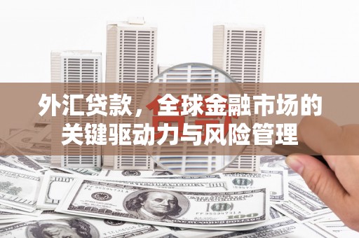 厦门外汇贷款，全球金融市场的关键驱动力与风险管理