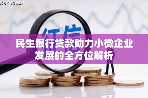 镇康民生银行贷款助力小微企业发展的全方位解析