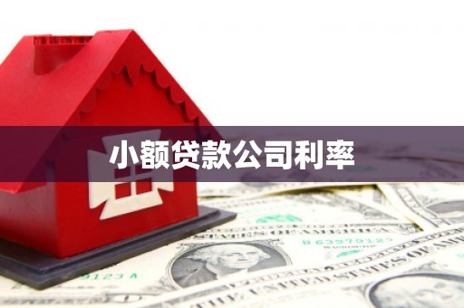 昆明小额贷款公司利率