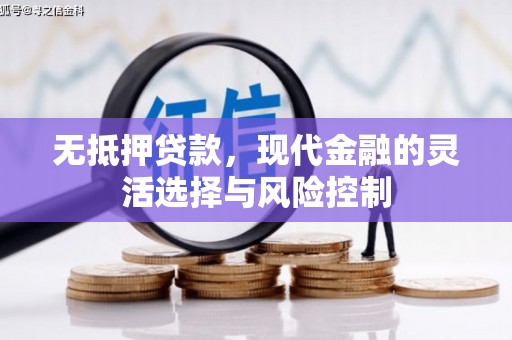台东无抵押贷款，现代金融的灵活选择与风险控制