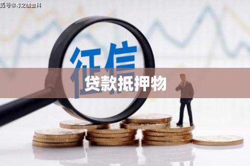 狮子贷款抵押物