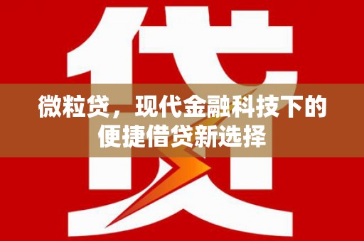 虾峙微粒贷，现代金融科技下的便捷借贷新选择