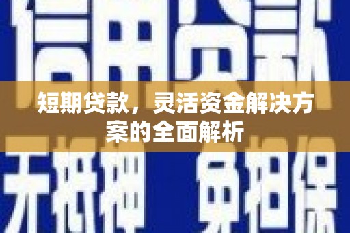 岢岚短期贷款，灵活资金解决方案的全面解析