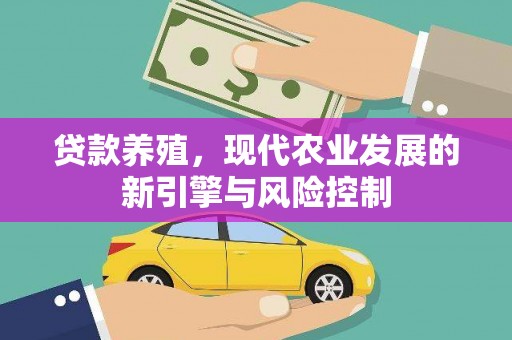 项城贷款养殖，现代农业发展的新引擎与风险控制