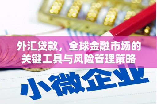 尉犁外汇贷款，全球金融市场的关键工具与风险管理策略