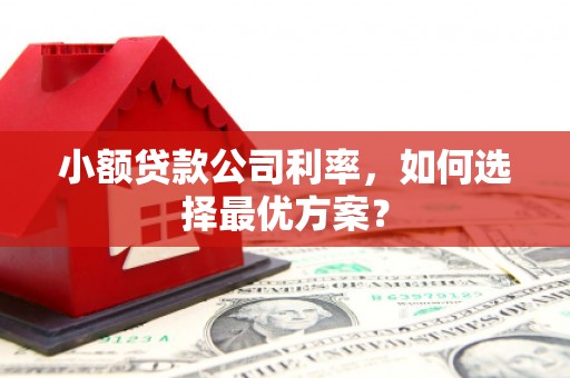 临西小额贷款公司利率，如何选择最优方案？