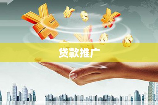 新河贷款推广