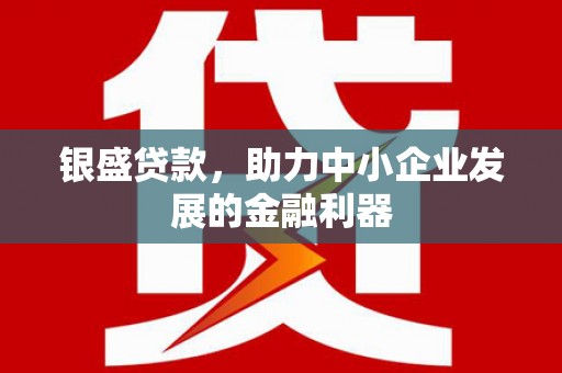 汉源银盛贷款，助力中小企业发展的金融利器