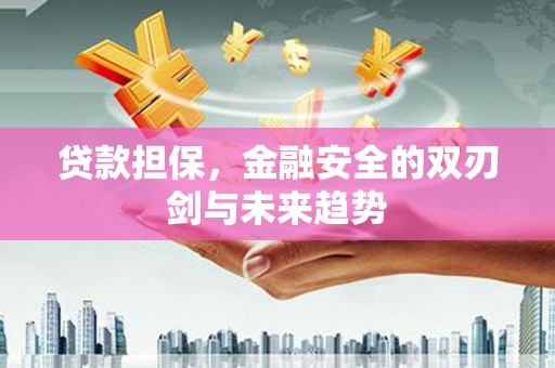 红原贷款担保，金融安全的双刃剑与未来趋势