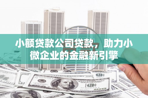 宽甸小额贷款公司贷款，助力小微企业的金融新引擎