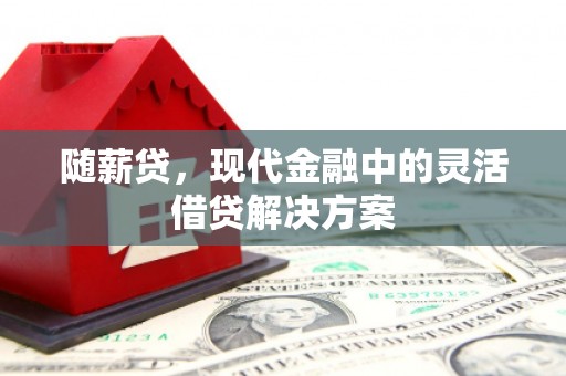 商南随薪贷，现代金融中的灵活借贷解决方案