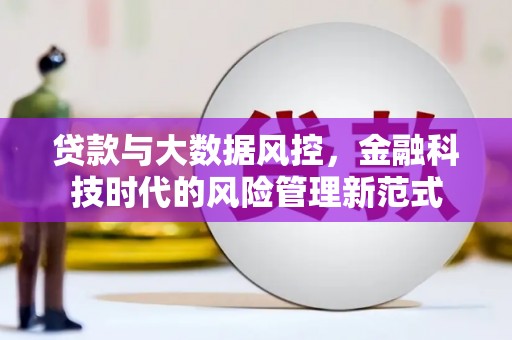 舞钢贷款与大数据风控，金融科技时代的风险管理新范式
