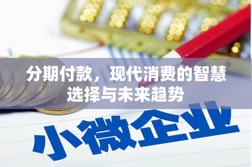 桓仁分期付款，现代消费的智慧选择与未来趋势
