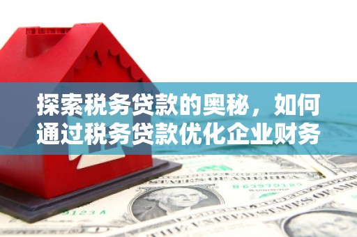 宜州探索税务贷款的奥秘，如何通过税务贷款优化企业财务