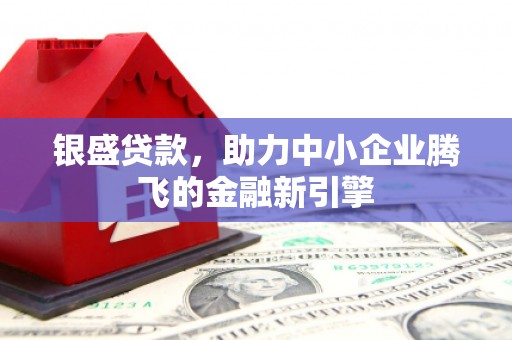新会银盛贷款，助力中小企业腾飞的金融新引擎
