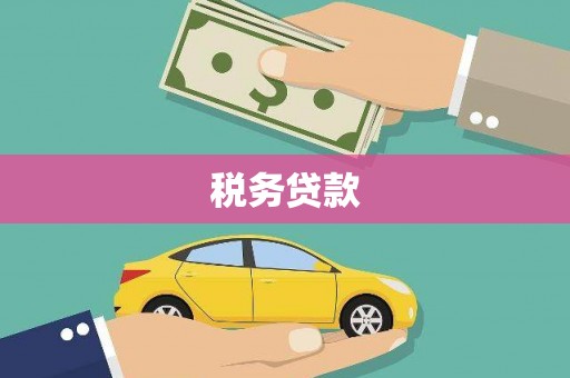 壮围税务贷款