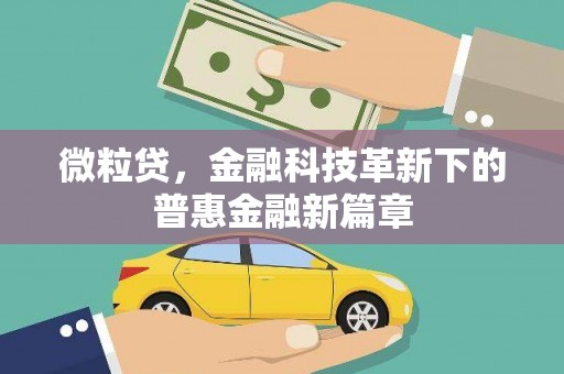洛阳微粒贷，金融科技革新下的普惠金融新篇章