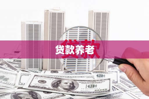 大里贷款养老