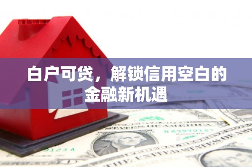 海东白户可贷，解锁信用空白的金融新机遇