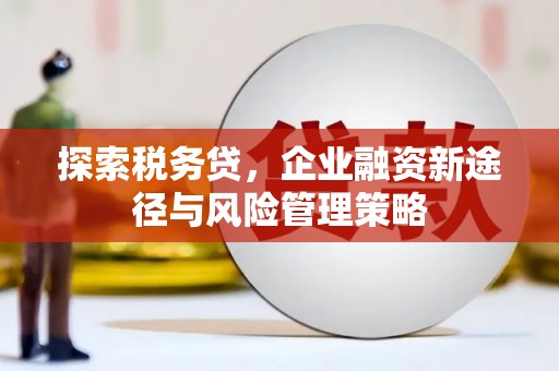 阿合奇探索税务贷，企业融资新途径与风险管理策略