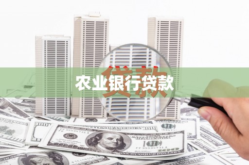 树林农业银行贷款