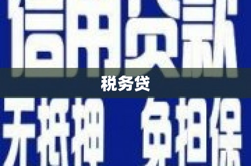 于洪税务贷