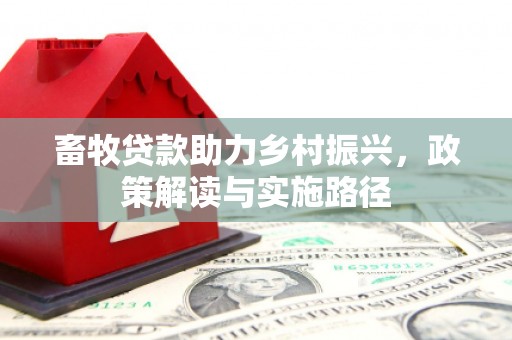 黔东南畜牧贷款助力乡村振兴，政策解读与实施路径