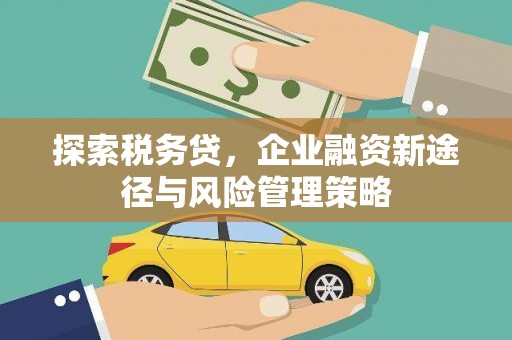 弋阳探索税务贷，企业融资新途径与风险管理策略