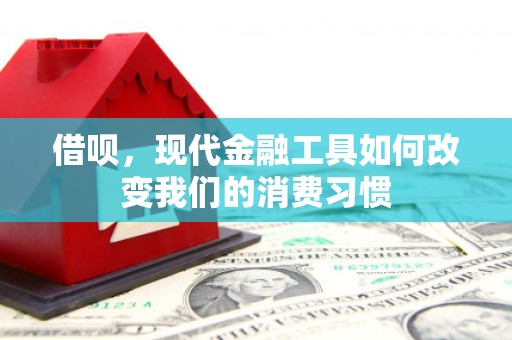 海安借呗，现代金融工具如何改变我们的消费习惯