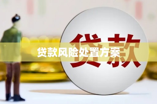 郁南贷款风险处置方案