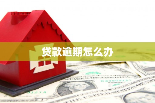 云林贷款逾期怎么办